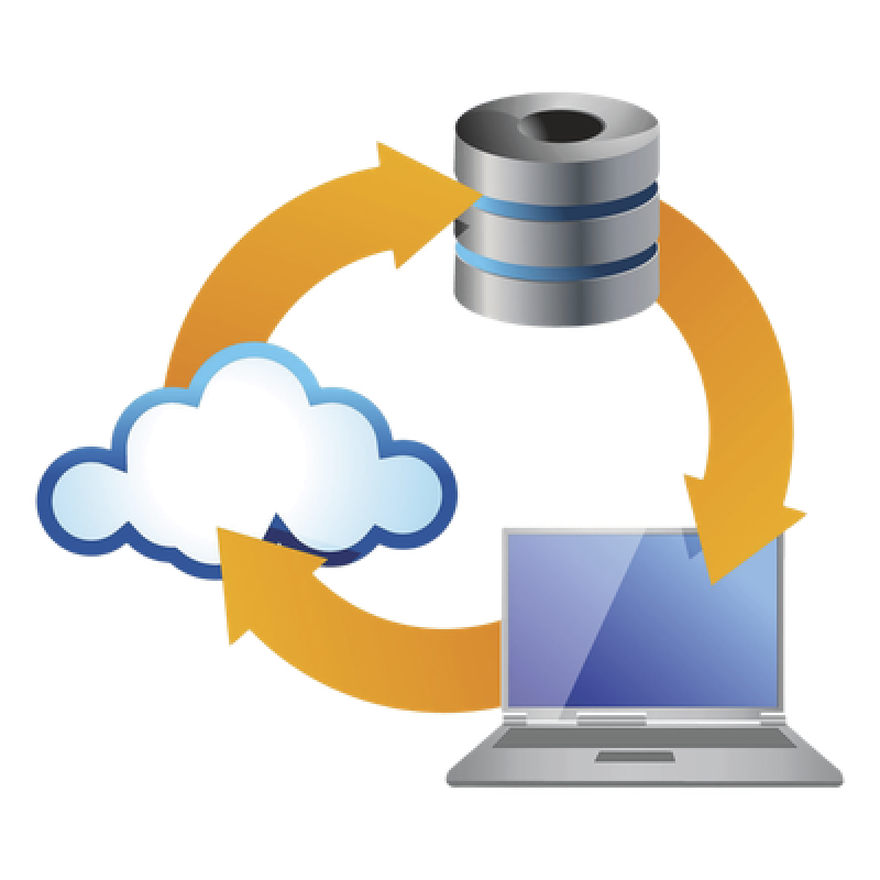 Licencia de Respaldo Mirror / Base de Datos en Tiempo Real / Continuidad 24/7 / Securithor v2.3.0+