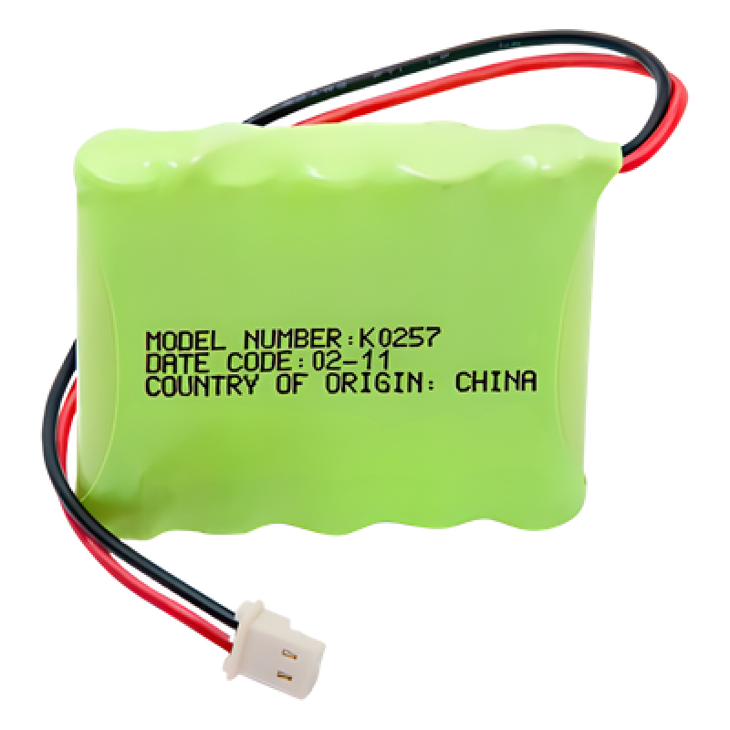 Batería de Respaldo NiMH / 6V / 700 mAh / Conector 2 Pines / Hasta 6 Horas de Autonomía