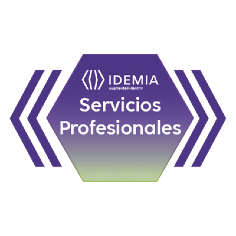 REMOTE ASSISTANCE JUNIOR 4 HORAS