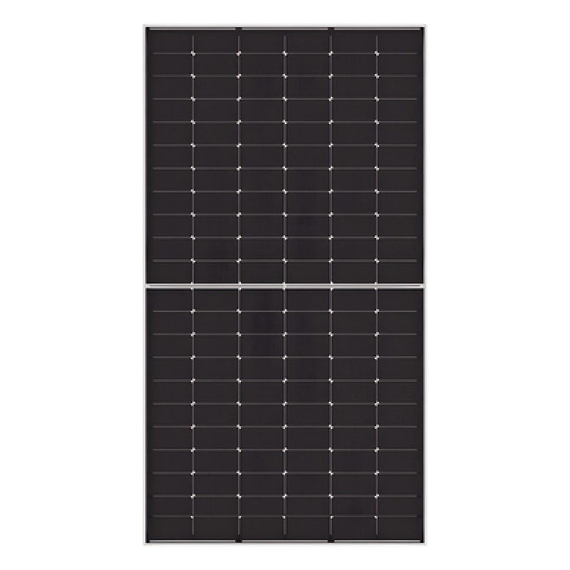 Módulo Fotovoltaico Bifacial / 620 W / 132 Celdas TOPCON Tipo N / Eficiencia 23% / 49.1 Vcc / SMBB / 2400/5400 Pa