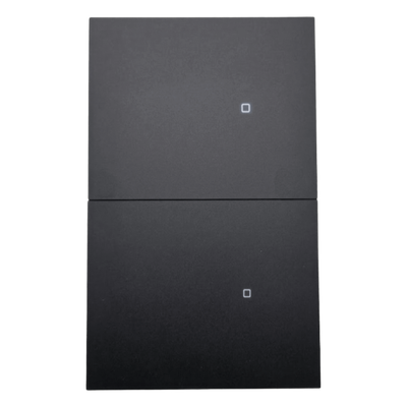 Apagador inalámbrico ZigBee 110-220V 2 GANG