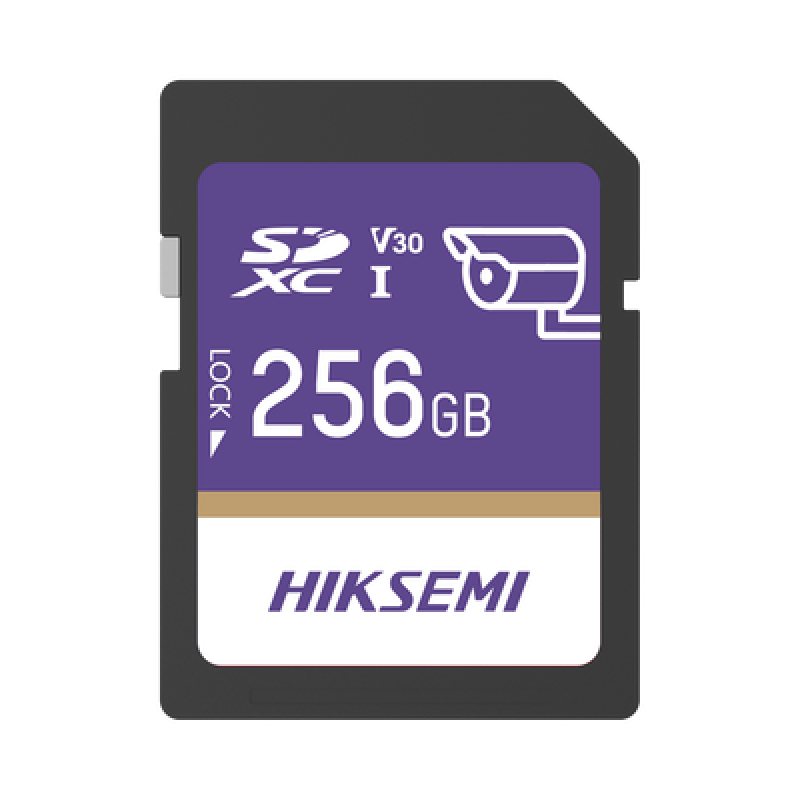 Memoria SD Clase 10 de 256 GB / Especializada Para Videovigilancia