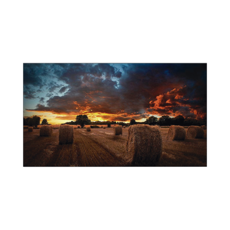 Pantalla Profesional de 55" para Video Wall / Full HD (1080p) / Display port - HDMI - DVI / 24/7 / soporta conexion Daisy chain por DP / Bisel Ultra Delgado de 2.3mm  / Compatible VESA 600x400