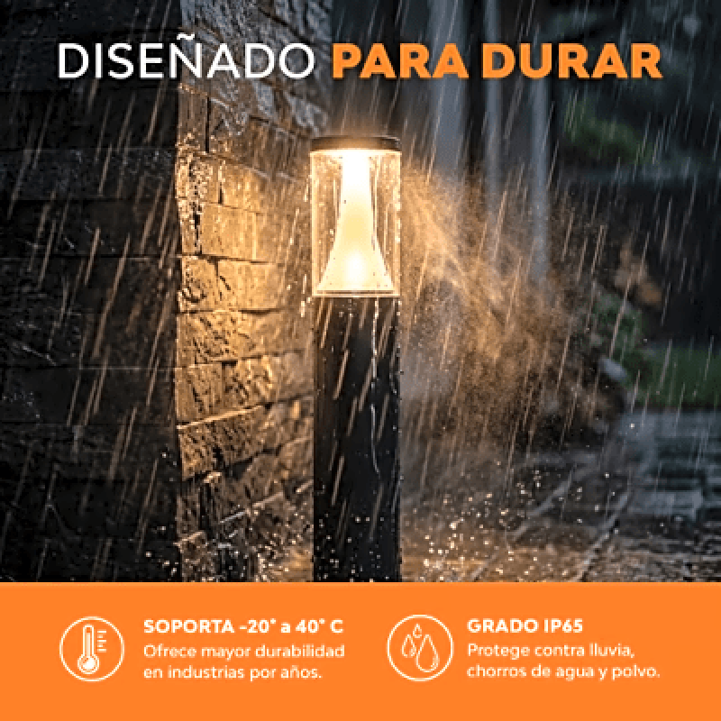 Fotografías adicionales